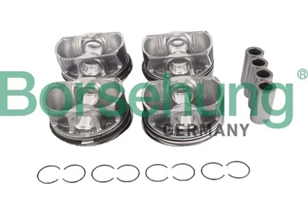 BORSEHUNG B11145 Поршень BMW 2(F22)