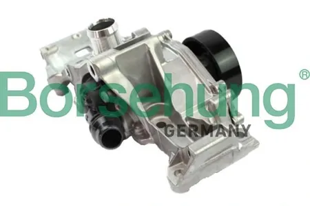 BORSEHUNG B11216 Водяной насос