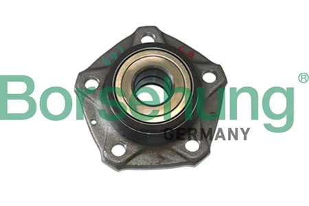 BORSEHUNG B11286 Ступица задн. в сборе с подшип.