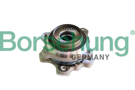 BORSEHUNG B11293 Ступица зад. с подшипником