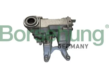 BORSEHUNG B11901 Масляный насос
