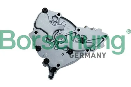 BORSEHUNG B11902 Масляный насос