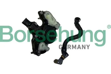 BORSEHUNG B11921 Маслоотделитель с патрубком
