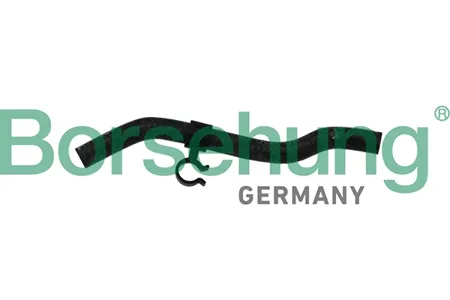 BORSEHUNG B11975 Шланг резина армированная нитками