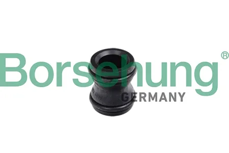 BORSEHUNG B11991 Штуцер системы охлаждения