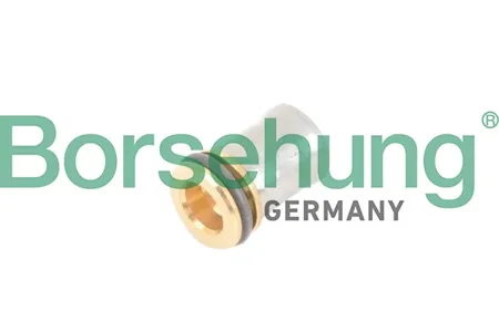BORSEHUNG B12241 Клапан обратный