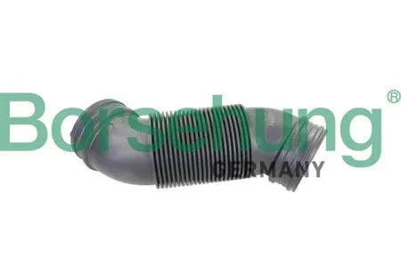 BORSEHUNG B12323 Патрубок воздушного фильтра VW GOLF -23
