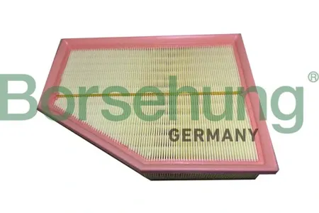 BORSEHUNG B12450 Воздушный фильтр