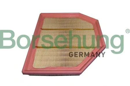 BORSEHUNG B12455 Воздушный фильтр BMW 2(F87)
