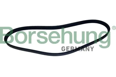BORSEHUNG B12498 Ремень поликлиновый
