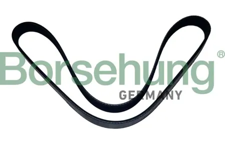 BORSEHUNG B12502 Ремень генератора