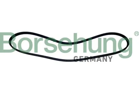 BORSEHUNG B12503 Ремень поликлиновый