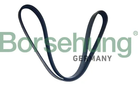 BORSEHUNG B12505 Ремень поликлиновый