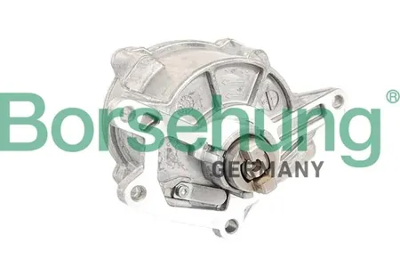 BORSEHUNG B12525 Тормозной вакуумный насос