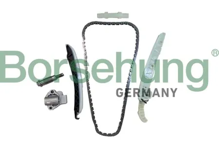 BORSEHUNG B12555 Комплект цепи ГРМ