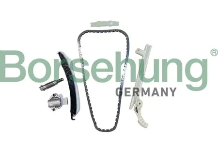 BORSEHUNG B12556 Комплект цепи ГРМ