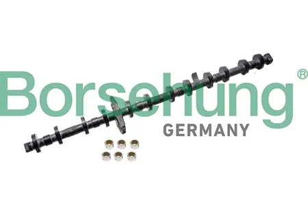 BORSEHUNG B12678 Ремкомплект, регулятор фаз газораспределения