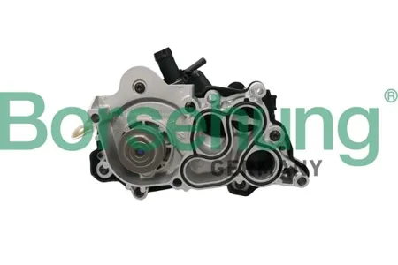 BORSEHUNG B12692 Водяной насос