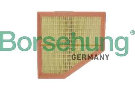 BORSEHUNG B12695 Воздушный фильтр