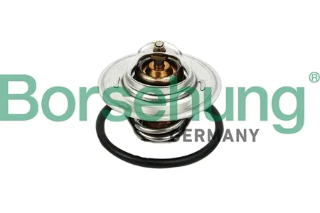 BORSEHUNG B13140 Термостат 87°C