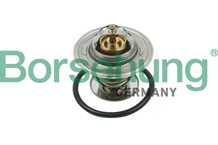 BORSEHUNG B13141 Термостат c прокл. Audi 80,VW Passat 1.61.81.9TD2.0 78>