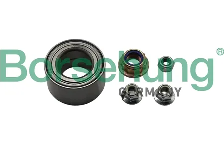 BORSEHUNG B15959 Комплект подшипника ступицы колеса