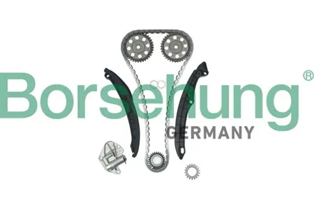 BORSEHUNG B16296 Комплект цепи ГРМ