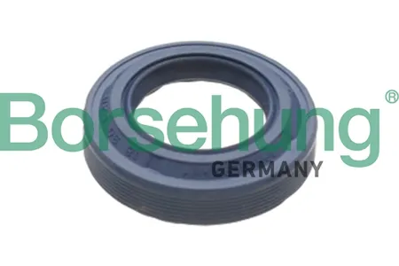 BORSEHUNG B17828 Сальник штока КПП
