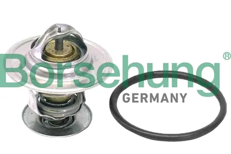 BORSEHUNG B18262 Термостат