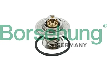 BORSEHUNG B18281 Термостат 80°C
