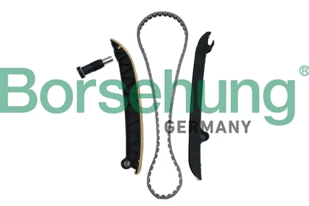 BORSEHUNG B18296 Комплект цепи ГРМ