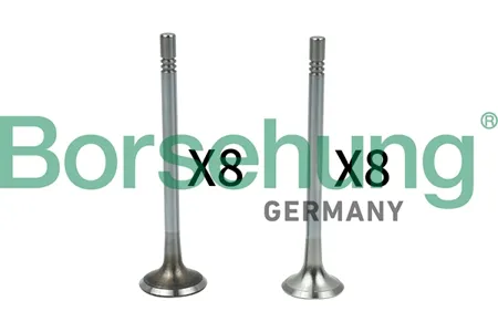 BORSEHUNG B18628 Комплект клапанов 8+8