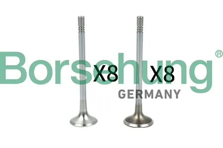 BORSEHUNG B18629 Комплект клапанов 8+8