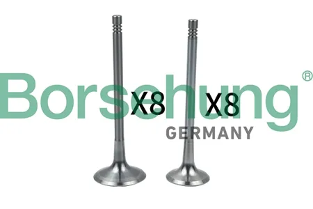 BORSEHUNG B18634 Комплект клапанов 8+8