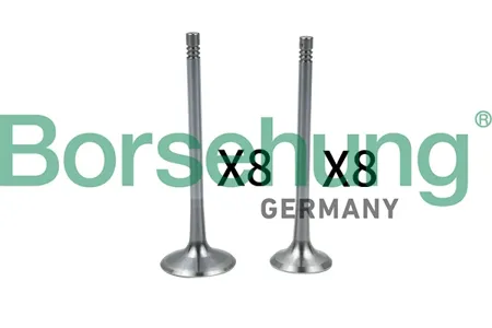 BORSEHUNG B18637 Комплект клапанов 8+8