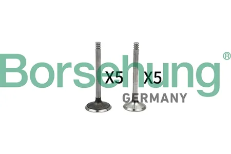 BORSEHUNG B18662 Комплект клапанов 4+4