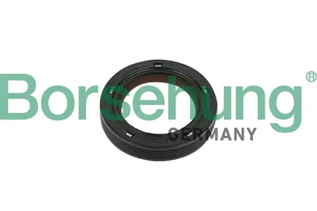 BORSEHUNG B18729 Сальник коленвала передний