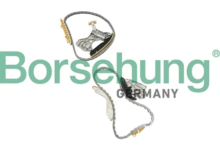 BORSEHUNG B18845 Комплект цепи VAG Passat -15