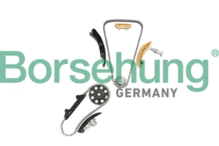BORSEHUNG B18846 Комплект цепи ГРМ