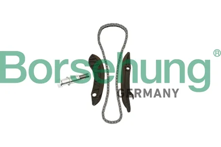 BORSEHUNG B18852 Ремкомплект цепи ГРМ