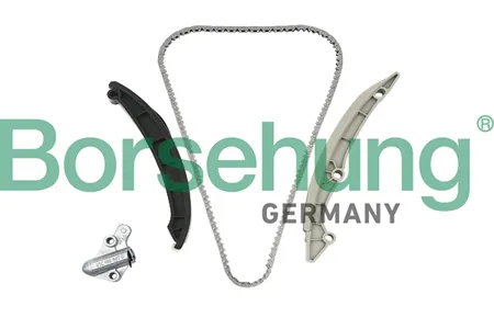 BORSEHUNG B18982 Комплект цепи VAG Octavia -13
