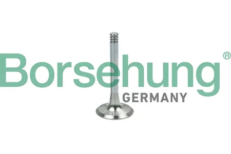 BORSEHUNG B19002 Клапан двигателя выпускной VAG Audi . VW 1.6-2.0 AEEAEK 94-