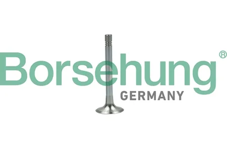 BORSEHUNG B19003 Клапан выпускной 