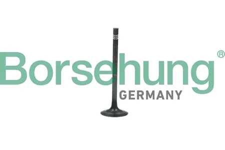 BORSEHUNG B19006 Клапан выпускной VW UP, Polo 1.0i 11-