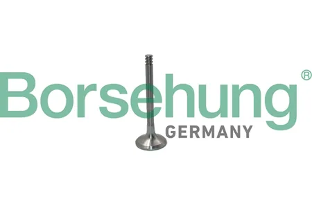 BORSEHUNG B19012 Клапан выпускной 