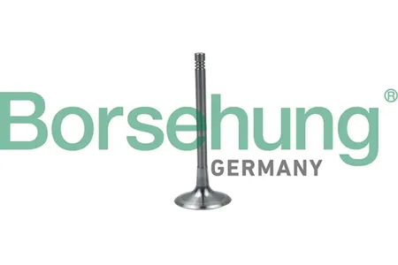 BORSEHUNG B19024 Клапан впускной Audi . Seat . VW 2.0FSi 16V 03-