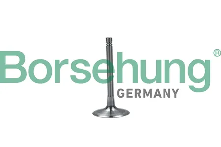 BORSEHUNG B19028 Клапан впускной