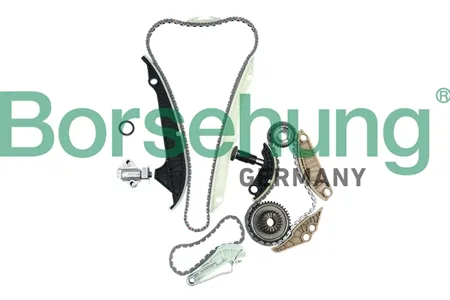 BORSEHUNG B19209 Ремкомплект цепи ГРМ