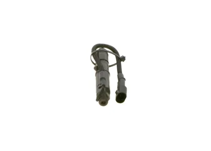 BOSCH 0432131734 Распылитель