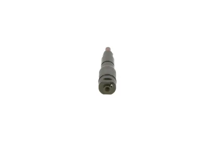 BOSCH 0432191302 Распылитель